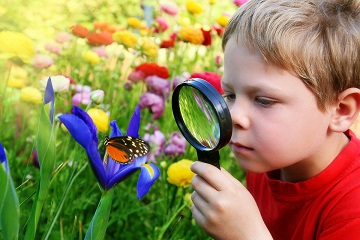 Child-Observing-A-Butterfly-4885079.jpg